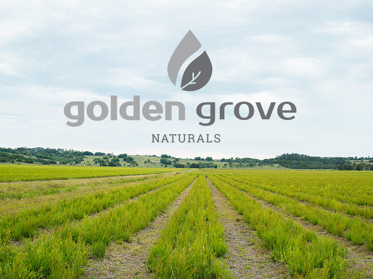 MCI Miritz – Partner Golden Grove Naturals Australien