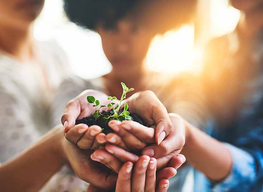 MCI Miritz – nachhaltiges Wirtschaften, Hände halten kleine Pflanze