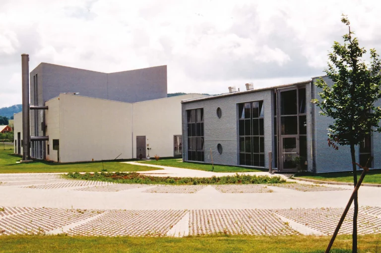 Meilenstein: 1994