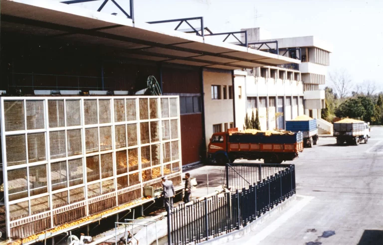 Meilenstein: 1973